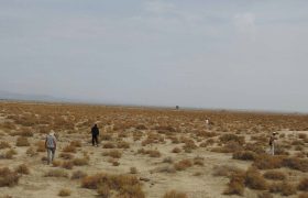 مستندسازی محوطه های شناسایی شده در جنوب کرمان