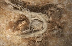 یافت ریسمان ۵۰ هزار ساله در محوطه نئاندرتال‌ها