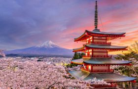 آهوی کوهی در سرزمینِ خورشید: زبان و ادبیات فارسی در کشور ژاپن