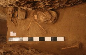 استخوان‌های تازه کشف‌شده در تخت‌جمشید چه می‌گویند؟