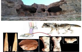 نشانه‌های دوخت و دوز دوران پارینه سنگی در کرمانشاه کشف شد