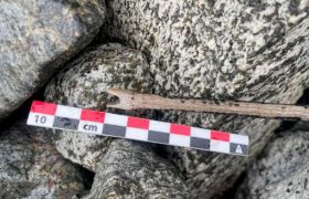کشف تیر ۱۰۰۰ ساله‌ بر اثر آب شدن یخ
