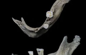 استخوان فک پیرزنی ۱۸۰۰ ساله