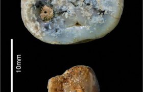 کشف ابزارهای سنگی ۲.۹ میلیون ساله در کنیا
