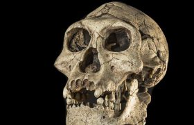 یخبندان شدید انسان‌ اولیه را برای ۲۰۰ هزار سال از اروپا راند