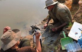 کشف قطعات بنایی نیم میلیون ساله در زامبیا